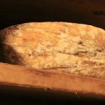 Cheese on a shelf :: Living FODMAP