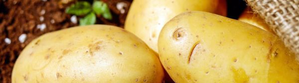 Potatoes are the best :: Living FODMAP