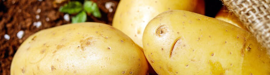 Potatoes are the best :: Living FODMAP