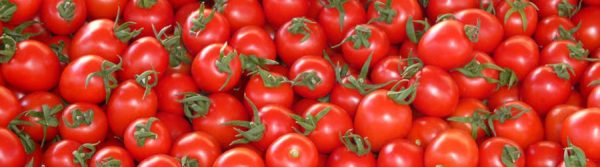 Sweet cherry tomatoes :: Living FODMAP