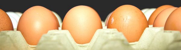 Eggs :: Living FODMAP